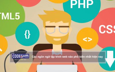 Ngôn ngữ lập trình web nào phổ biến nhất hiện nay?