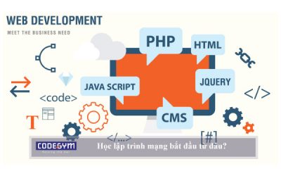 Tại Sao Nên Học Lập Trình Java Web