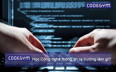 Học công nghệ thông tin ra trường làm gì?