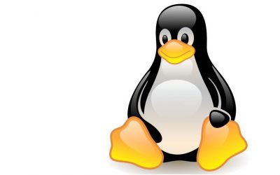 Dive in Linux: Phần 3 — Môi trường làm việc (Desktop Environment)