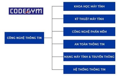 Học công nghệ thông tin gồm những ngành nào? Ra trường làm gì?