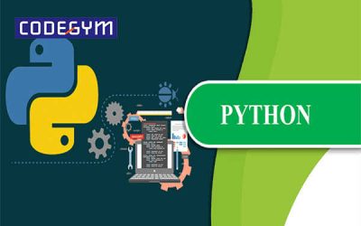 Thành thạo lập trình với tài liệu học Python cơ bản