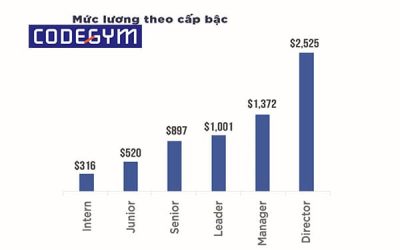 “Update mới nhất”: Lương lập trình viên 1 năm kinh nghiệm năm 2021