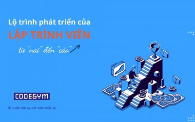 Lộ trình phát triển của lập trình viên – từ “nai” đến “cáo”