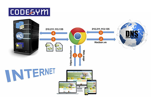 Lộ trình học lập trình Web từ cơ bản đến nâng cao