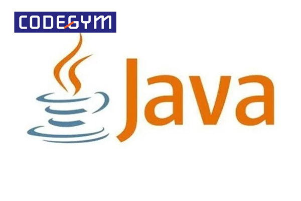 Ngôn ngữ lập trình Java được phát triển bởi Sun Microsystem vào năm 1995