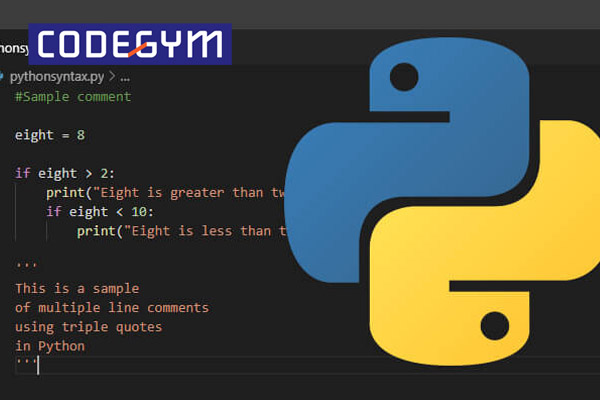 Python được tạo ra bởi Guido Van Rossum vào tháng 2 năm 1991
