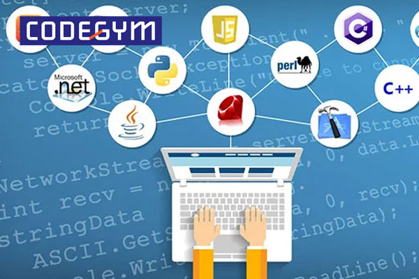 Học lập trình là học kiến thức lập trình, database, cơ sở dữ liệu,...