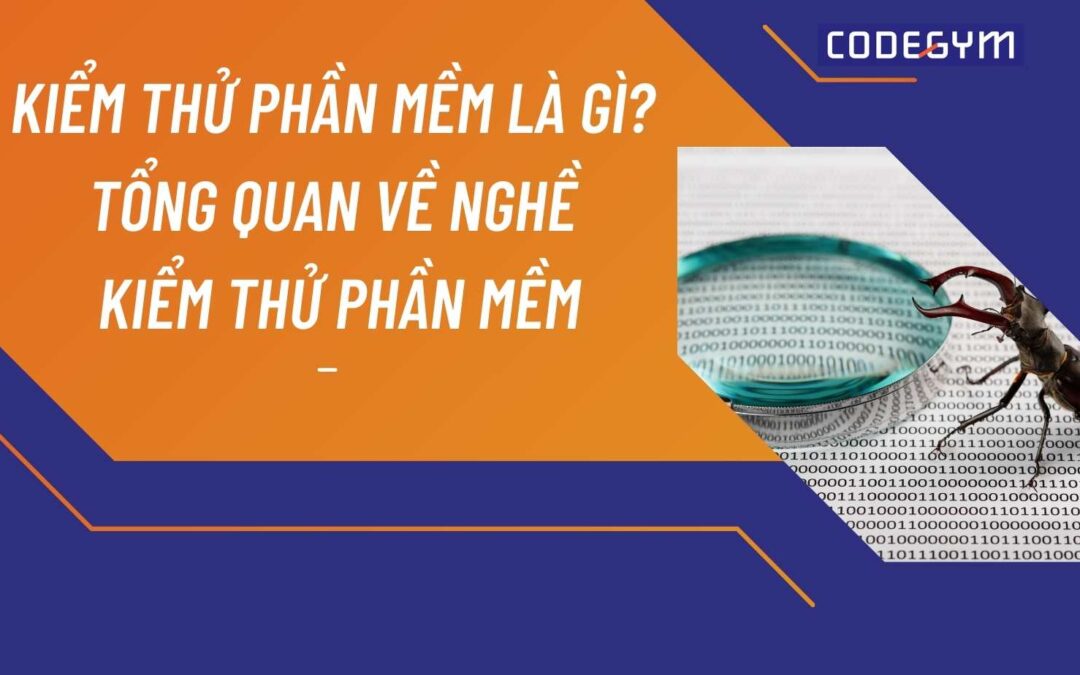 Kiểm thử phần mềm là gì