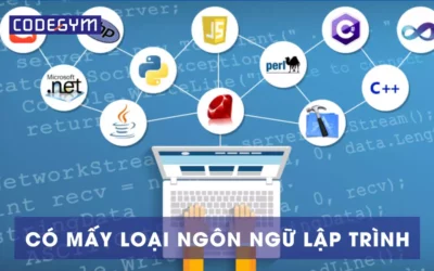 Có mấy loại ngôn ngữ lập trình? 7 ngôn ngữ phổ biến hiện nay