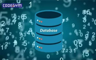 Database là gì? 8 mô hình Database phổ biến hiện nay