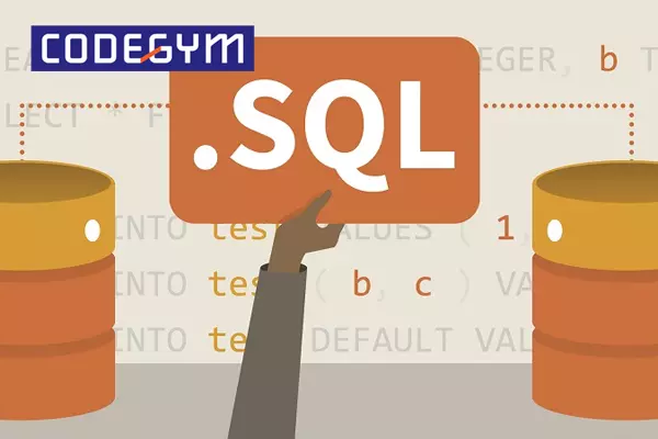 SQL mang đến nhiều cơ hội việc làm cao