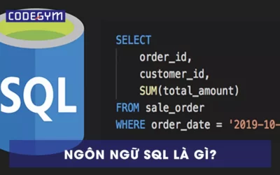 SQL là gì? Hé lộ 6 lý do lập trình viên nên học SQL