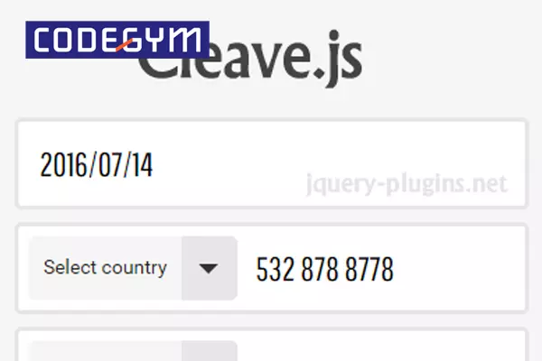 Thư viện của Javascript Cleave.js