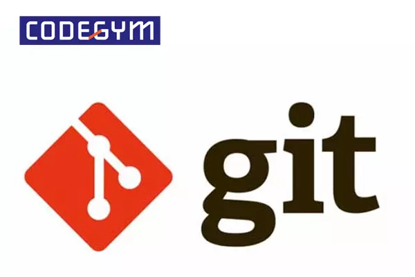GIT giúp cung cấp cho lập trình viên các kho lưu trữ riêng