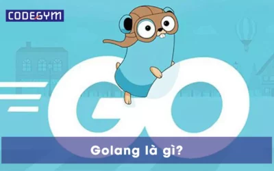 Golang là gì? Ngôn ngữ lập trình Golang có tốt không?