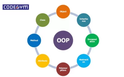 OOP là gì? Tổng hợp thông tin cơ bản về OOP mà lập trình viên nào cũng phải biết