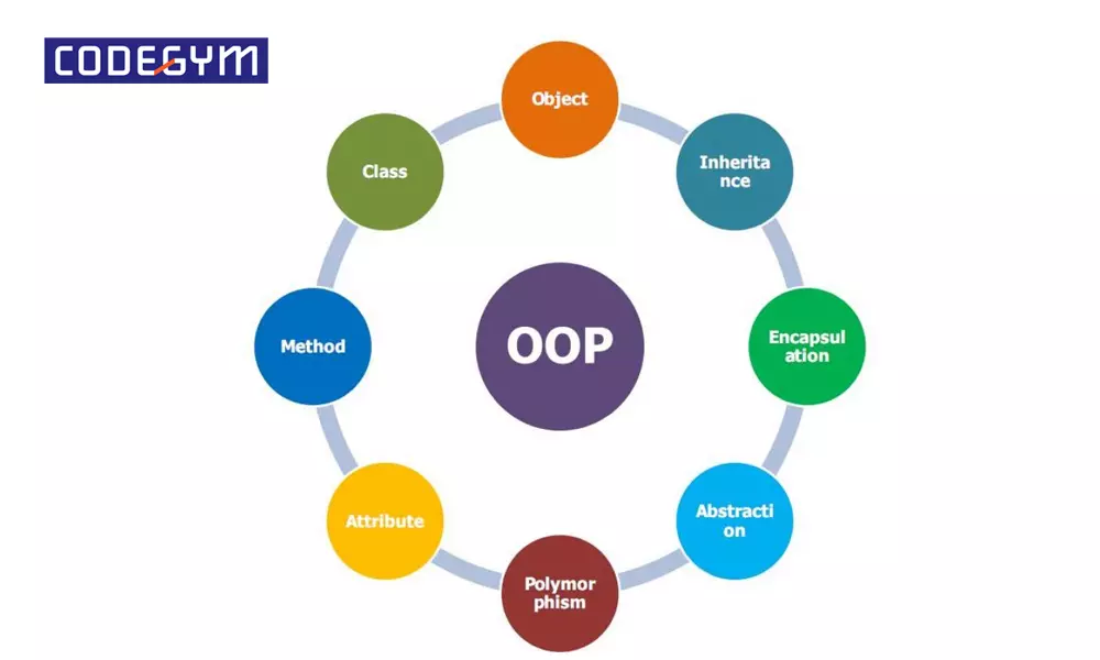 OOP là gì? Tổng hợp thông tin cơ bản về OOP cần biết