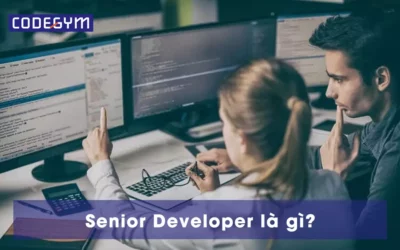 Senior Developer là gì? Trở thành Senior Developer cần kỹ năng gì?