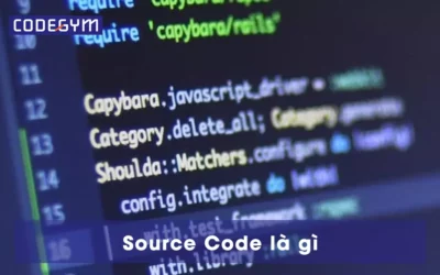 Source Code là gì? Source Code có mấy loại?