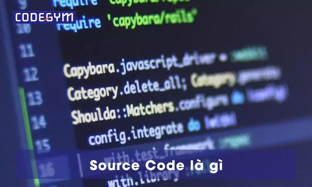 Source Code là gì? Source Code có mấy loại?