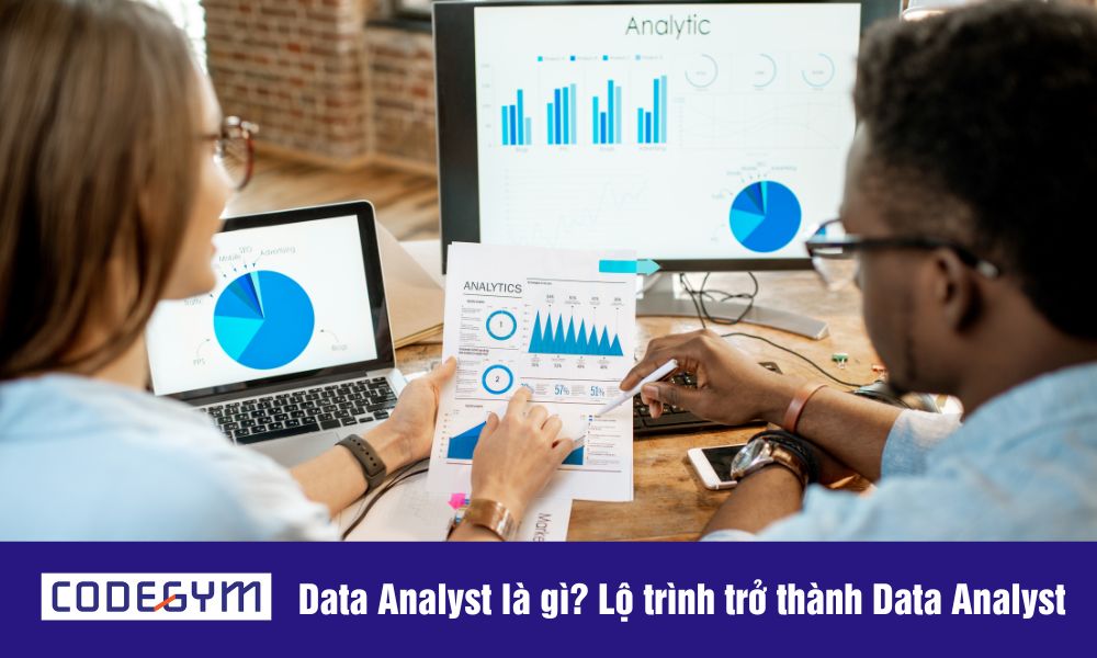 ngành data analyst