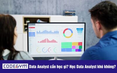 Data Analyst cần học gì? Học Data Analyst có khó không?