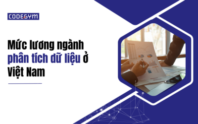 Mức lương ngành phân tích dữ liệu ở Việt Nam 2024 (cập nhật mới nhất)