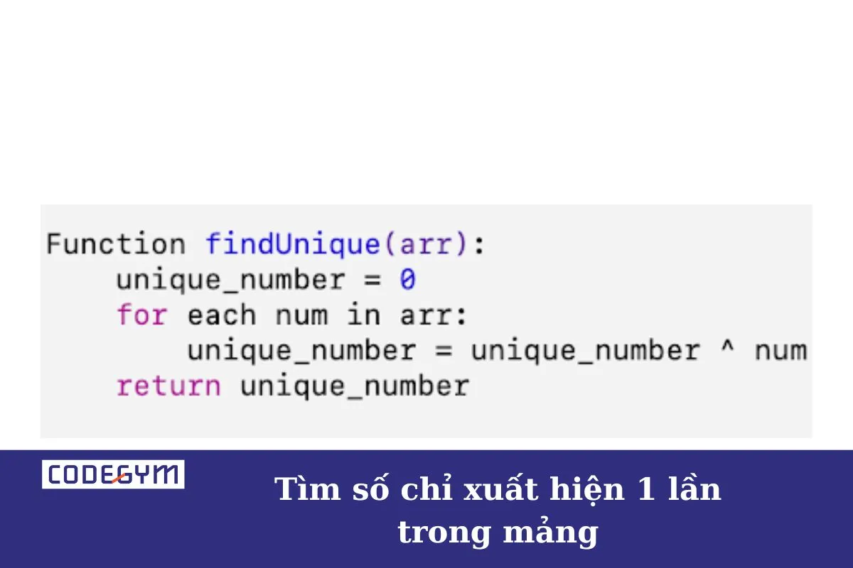 tìm số chỉ xuất hiện 1 lần trong mảng