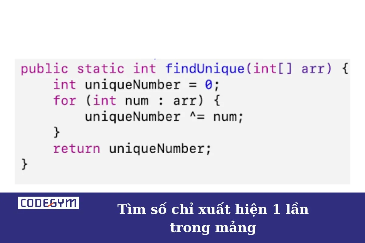 tìm số chỉ xuất hiện 1 lần trong mảng