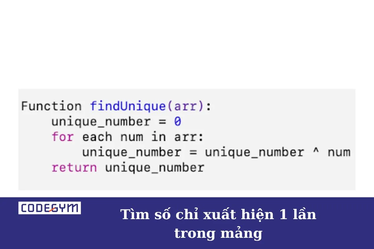 tìm số chỉ xuất hiện 1 lần trong mảng