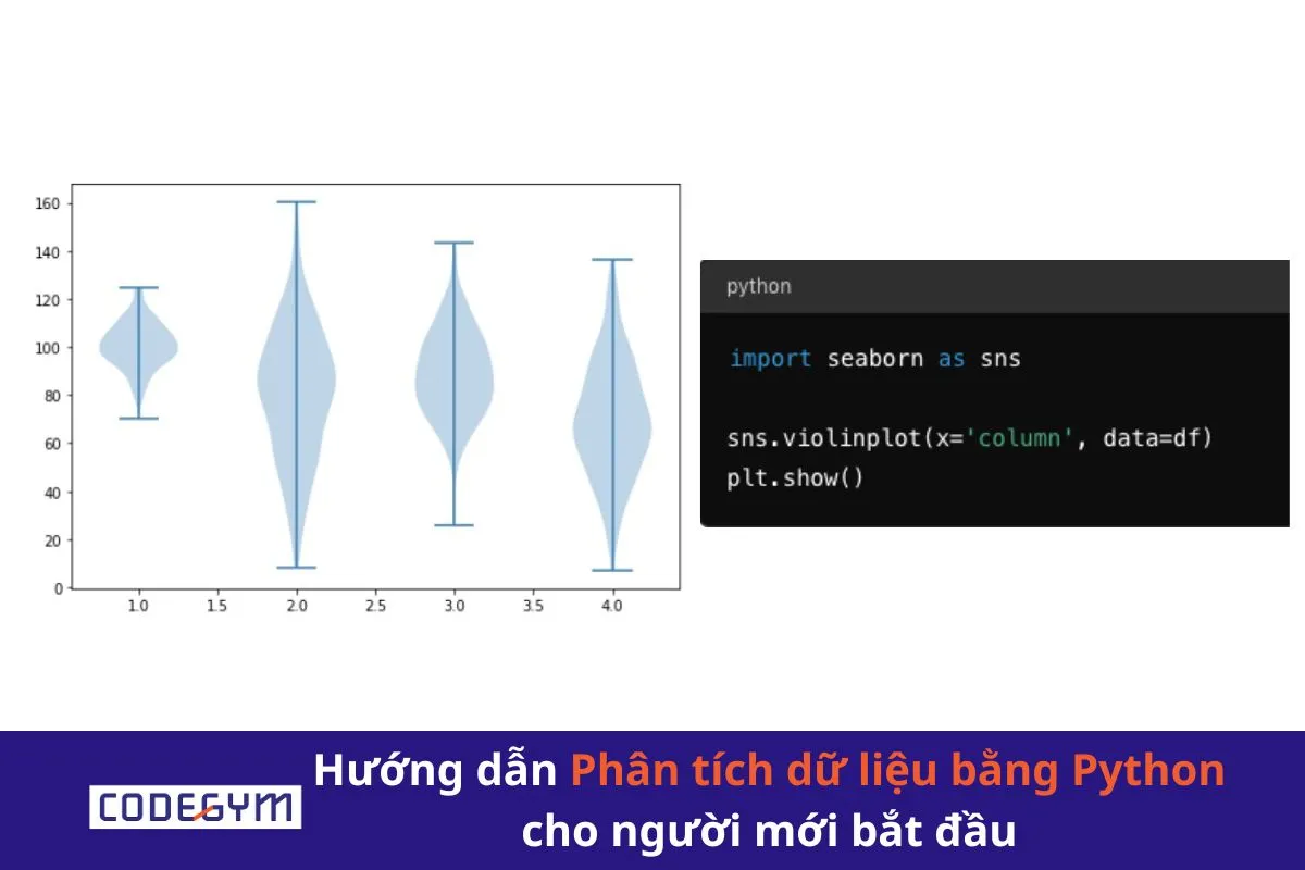 Hướng dẫn Phân tích dữ liệu bằng Python cho người mới bắt đầu