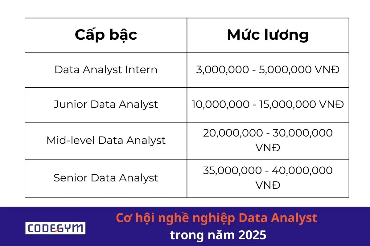 Cơ hội nghề nghiệp Data Analyst trong năm 2025