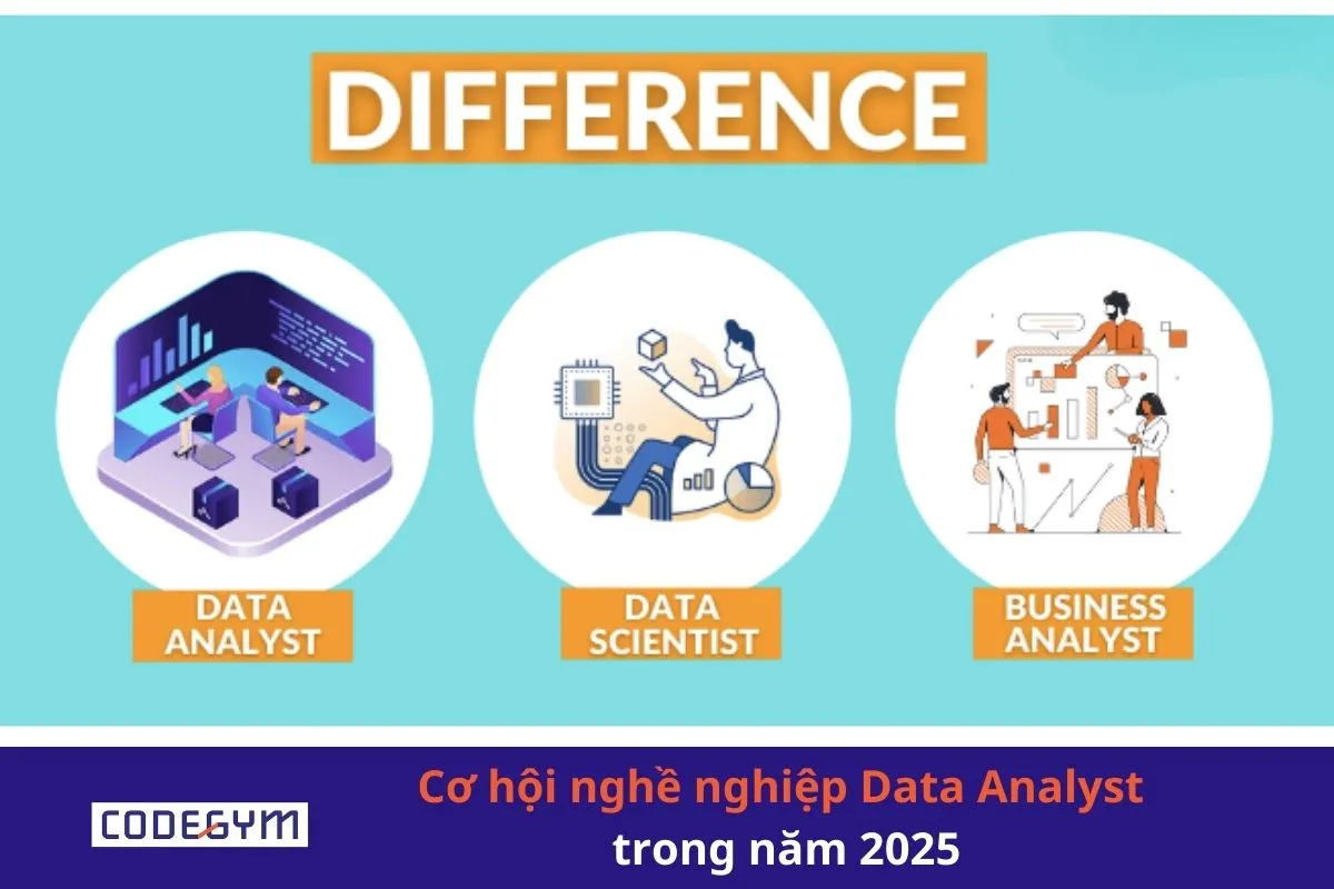 Cơ hội nghề nghiệp Data Analyst trong năm 2025