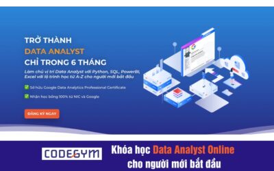 Khóa học Data Analyst Online cho người mới bắt đầu