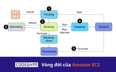 Vòng đời của Amazon EC2