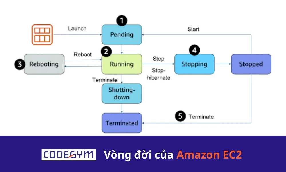 Vòng đời của Amazon EC2