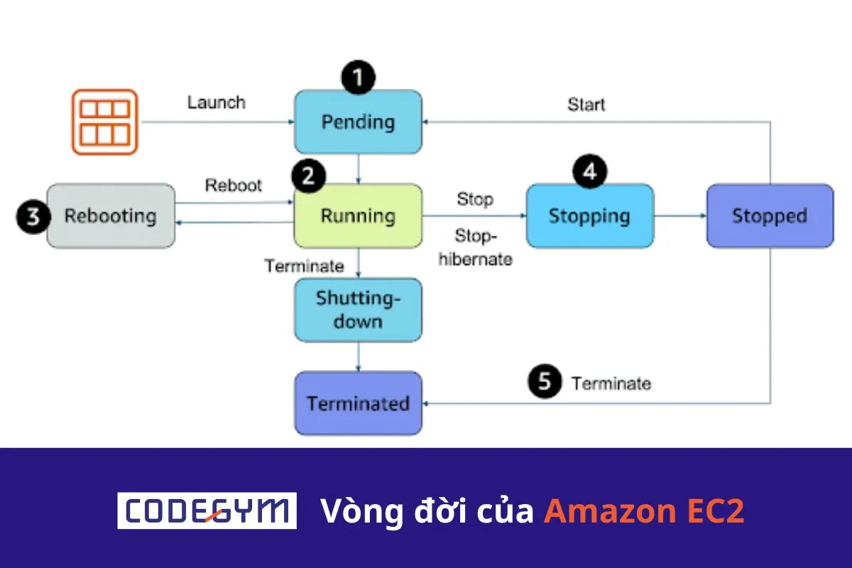 Vòng đời của Amazon EC2